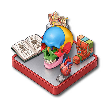 Anatomy Explorer (Models)